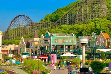 Everland Hàn Quốc: Trải nghiệm tuyệt vời cho mọi du khách