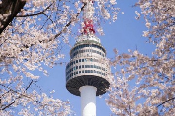 Tháp Namsan - Địa điểm không thể bỏ qua khi đến Hàn Quốc