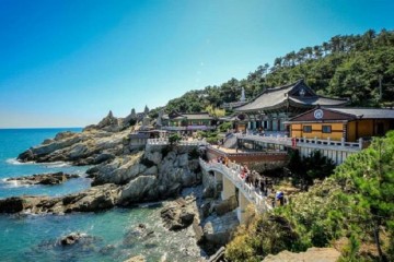 Đi khám phá đảo Jeju tháng 7 có gì đẹp