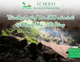 Ngắm hóa thạch sống hơn 500 năm tuổi giữa đại ngàn Phong Nha - Kẻ Bàng