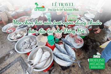Mẹo chọn hải sản tươi ngon đúng chuẩn bản địa tại chợ Đồng Hới