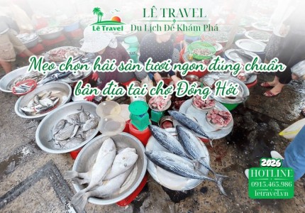 Mẹo chọn hải sản tươi ngon đúng chuẩn bản địa tại chợ Đồng Hới