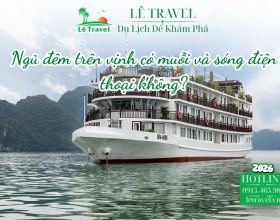 Ngủ đêm trên vịnh có muỗi và sóng điện thoại không? Giải đáp từ trải nghiệm thực tế