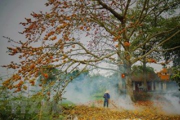 Khám phá Đà Nẵng tháng 3