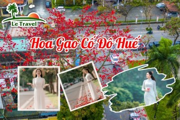 Khi hoa gạo trở về trên mảnh đất cố đô