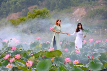 Mãn nhãn với vẻ đẹp với vẻ đẹp hoa sen Đà Nẵng 