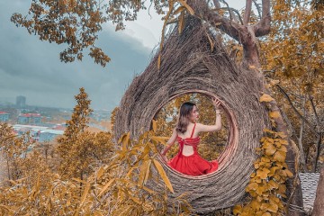 Những điểm sống ảo tại Đà Nẵng