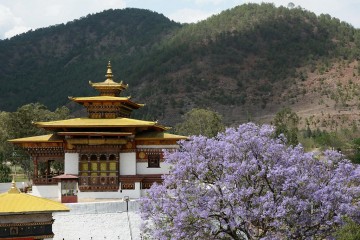 Du xuân Bhutan có gì đẹp