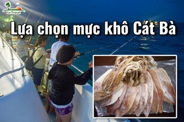Kinh nghiệm mua mực khô Cát Bà siêu ngon