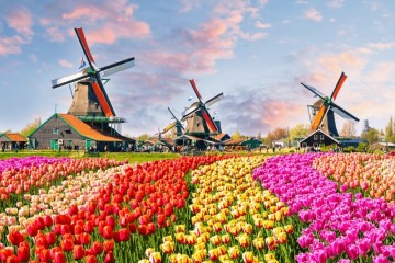 Đi du lịch Hà Lan mùa hoa tulip đẹp nhất vào tháng mấy