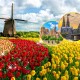Du lịch Châu Âu mùa hoa tulip nở rộ