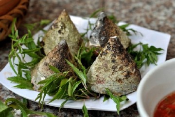 Ốc Vú Nàng đặc sản Côn Đảo