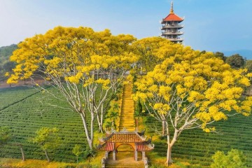 Khám phá Bảo Lộc