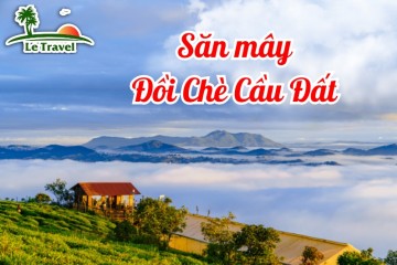 Săn mây Đồi Chè Cầu Đất của Đà Lạt