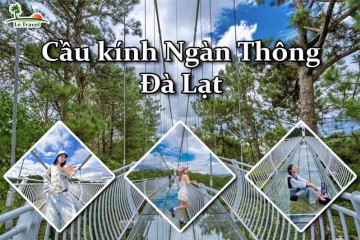 Tham quan cầu kính Ngàn Thông tại xứ sở hoa Đà Lạt