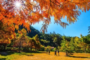 kinh nghiệm du lịch Đài Loan tháng 10