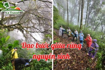 Dạo bước giữa rừng nguyên sinh tại đỉnh Tây Côn Lĩnh