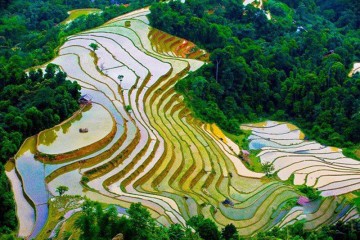 Hà Giang tháng 7 có gì đẹp