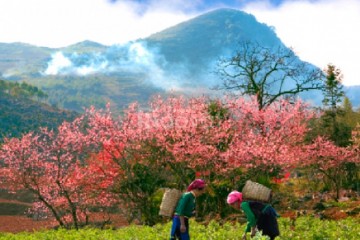 du lịch tết Hà Giang có gì