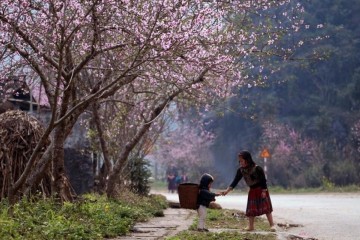 Tất tần tật từ A - Z khi đến Hà Giang mới nhất