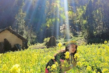 Vẻ đẹp mùa hoa cải vàng Hà Giang