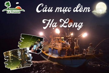 Khám phá cuộc sống của ngư dân Hạ Long qua tour câu mực đêm