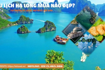 Trọn bộ kinh nghiệm du lịch Hạ Long