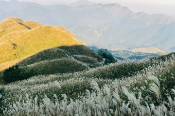 Trọn bộ kinh nghiệm du lịch Bình Liêu
