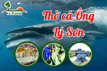 Du Lịch Lý Sơn - Khám Phá Nét Độc Đáo Trong Tín Ngưỡng Cá Ông