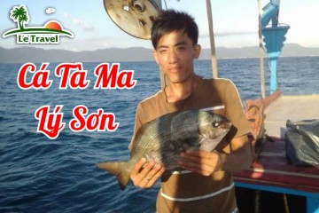 Thưởng thức loài cá hiếm mang tên ma mị của Lý Sơn