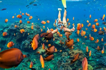 Trải nghiệm lặn biển Maldives