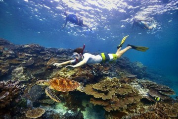 Vẻ đẹp của những hòn đảo San Hô tại Maldives