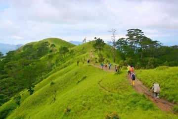 Trekking đồi cỏ xanh Tà Năng
