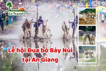Trải nghiệm lễ hội Đua bò Bảy Núi tại An Giang