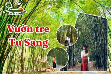 Vườn tre Tư Sang: Nơi lưu giữ ký ức tuổi thơ