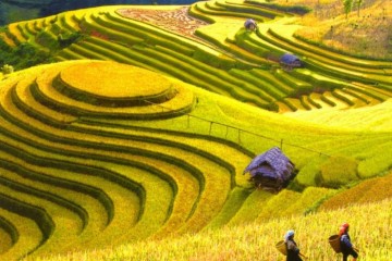 Khám Phá Tây Bắc: Hành Trình Và Những Điều Cần Biết