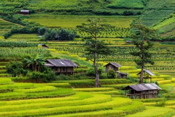 Khám phá những địa điểm nổi tiếng nhất Tây Bắc