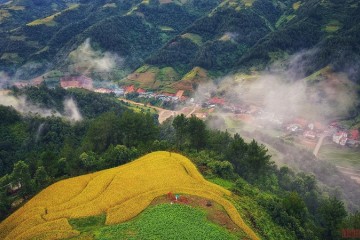 Khám phá vẻ đẹp Mù Cang Chải mùa lúa chín
