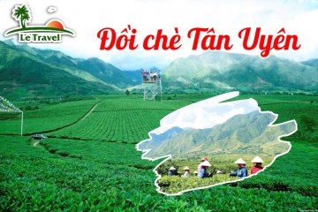 Kinh nghiệm du lịch đồi chè Tân Uyên