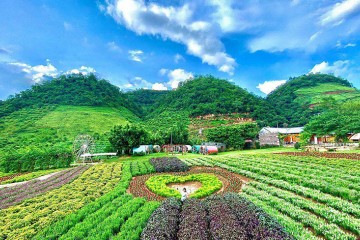 Đi du lịch Mộc Châu mùa nào đẹp