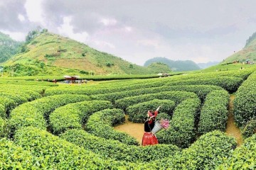 Du lịch 2 – 9 Mộc Châu có gì 