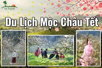 Kinh nghiệm đi du lịch Mộc Châu dịp Tết chi tiết