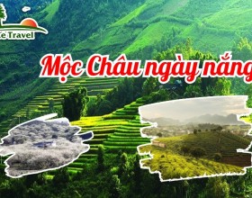 Một ngày đầy nắng tại Mộc Châu