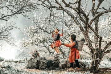 Mùa xuân gọi trên cao nguyên Mộc Châu