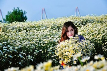 Tháng 11 vẻ đẹp của các loài hoa