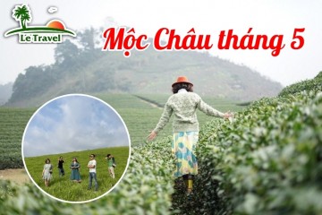 Trải nghiệm du lịch Mộc Châu tháng 5