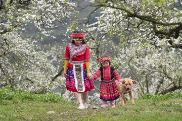 Trải nghiệm văn hóa của đồng bào Mông Người tết