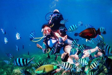 Khu du lịch Hòn Mun Nha Trang