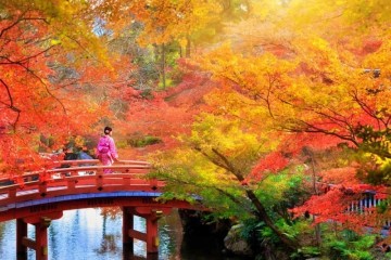 Đi du lịch Nhật Bản có cần xin visa không