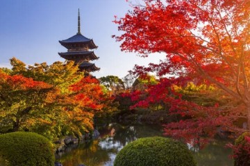 Đi du lịch Nhật Bản tháng 10 có gì đẹp